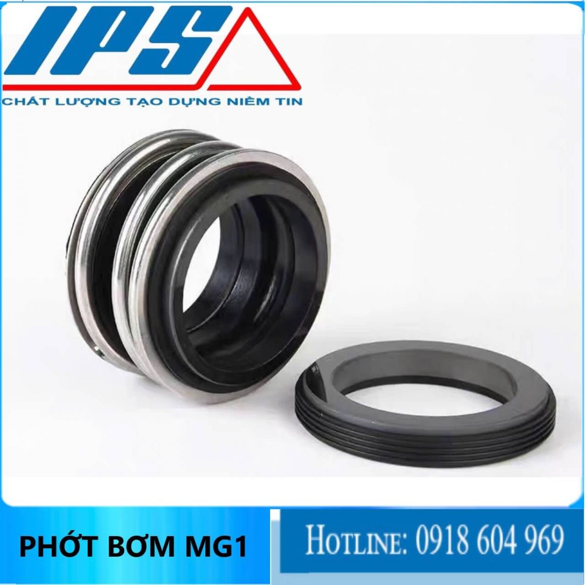 Phớt MG1-13(3)